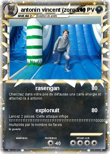 Pokemon antonin vincent (zoroark)