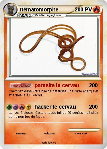 Pokemon nématomorphe