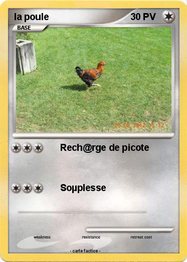 Pokemon la poule