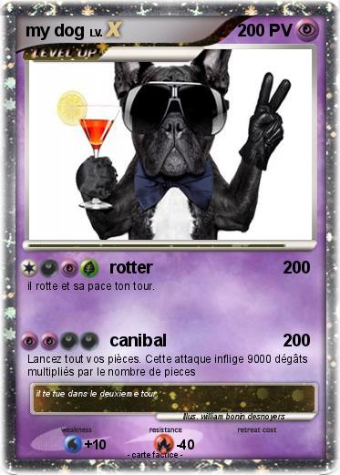Pokemon my dog
