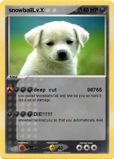 Pokemon snowballLv.X   