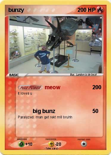 Pokemon bunzy