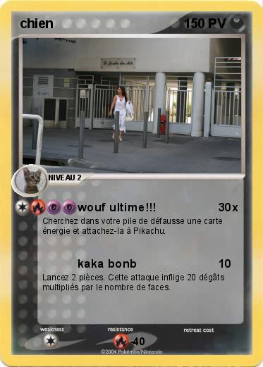 Pokemon chien