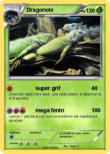 Pokemon Dragonote