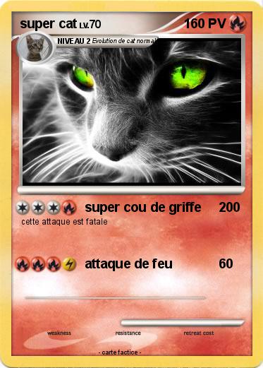 Pokemon super cat