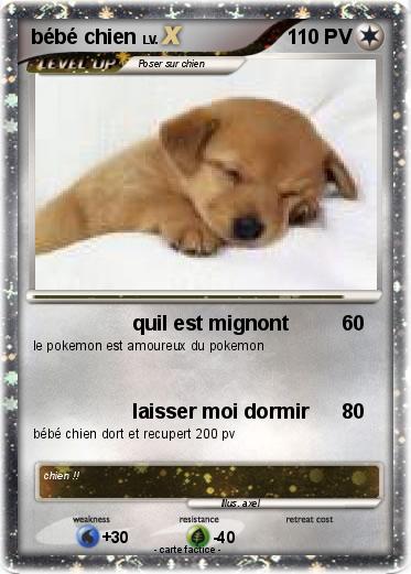 Pokemon bébé chien