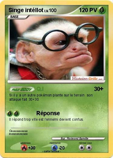 Pokemon Singe intéllot