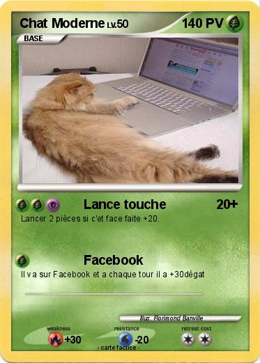 Pokemon Chat Moderne
