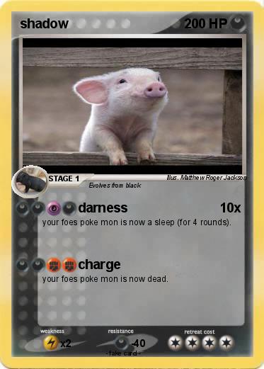 Pokemon shadow
