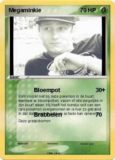 Pokemon Megaminkie