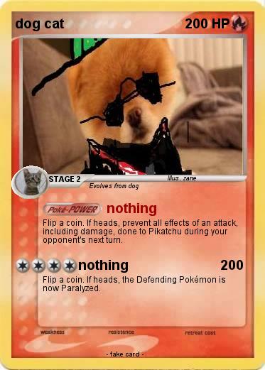 Pokemon dog cat