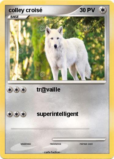 Pokemon colley croisé