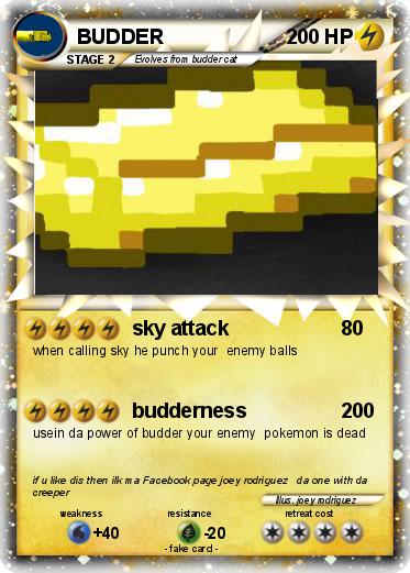 Pokemon BUDDER