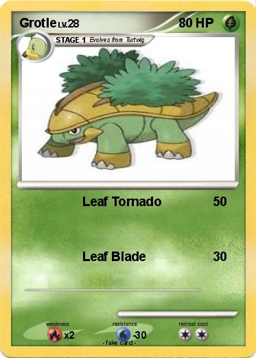 Pokemon Grotle