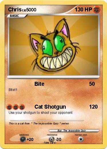 Pokemon Chris