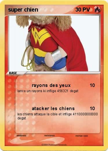 Pokemon super chien 