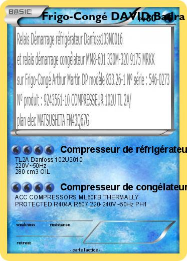 Pokemon Frigo-Congé DAVID Badra