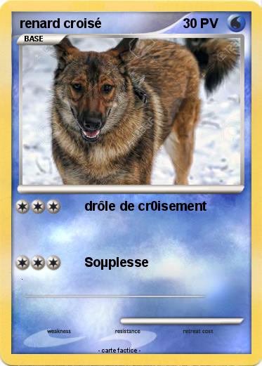 Pokemon renard croisé