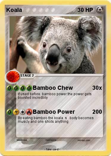 Pokemon Koala