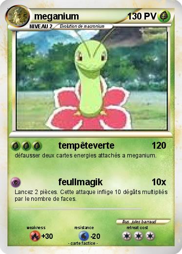 Pokemon meganium