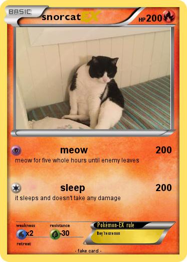 Pokemon snorcat