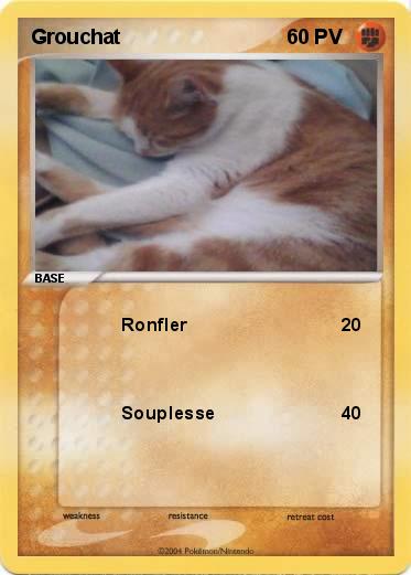 Pokemon Grouchat