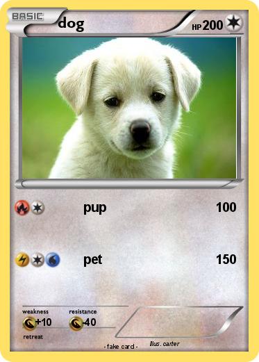 Pokemon dog