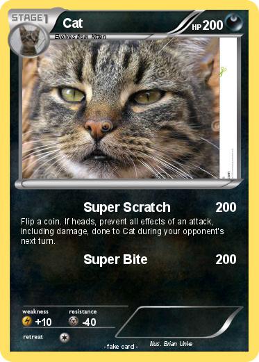 Pokemon Cat