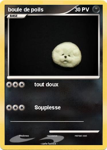 Pokemon boule de poils