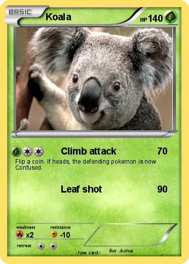 Pokemon Koala