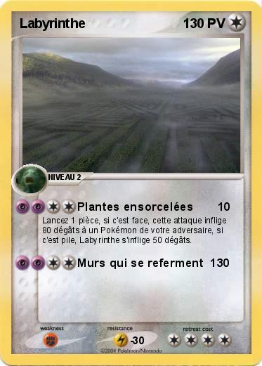 Pokemon Labyrinthe