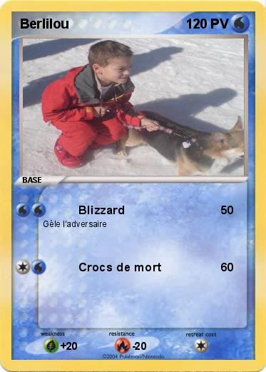 Pokemon Berlilou