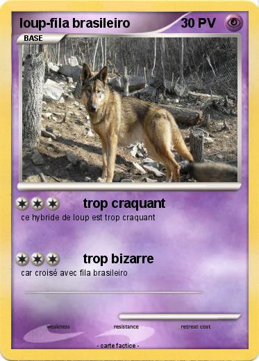 Pokemon loup-fila brasileiro