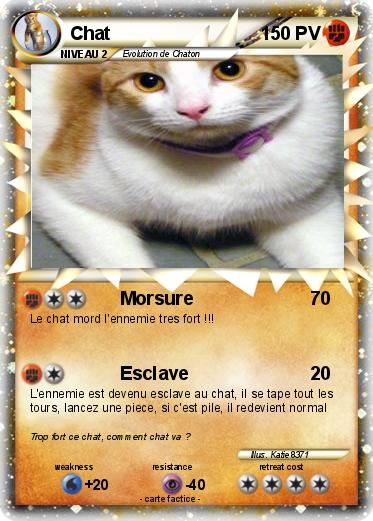 Pokemon Chat
