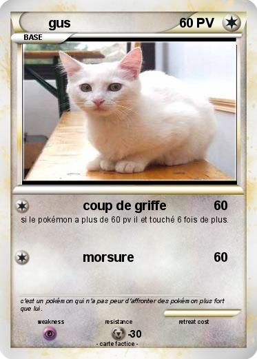 Pokemon gus