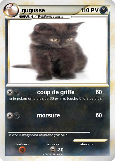 Pokemon gugusse
