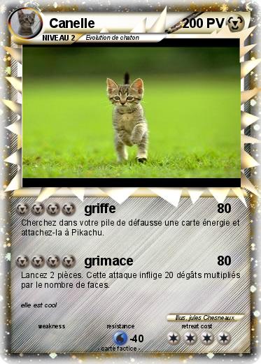 Pokemon Canelle
