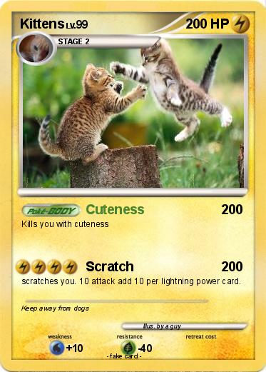 Pokemon Kittens