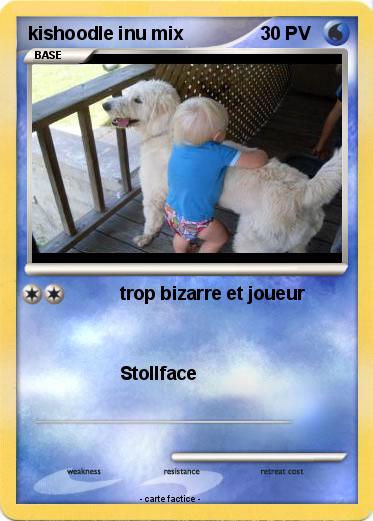 Pokemon kishoodle inu mix