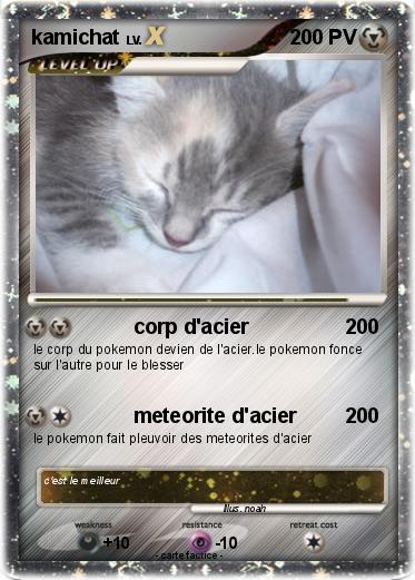 Pokemon kamichat