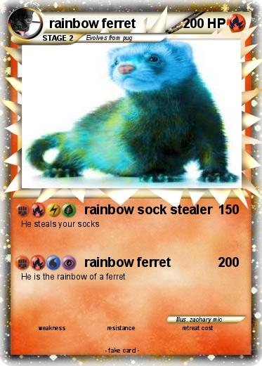 Pokemon rainbow ferret