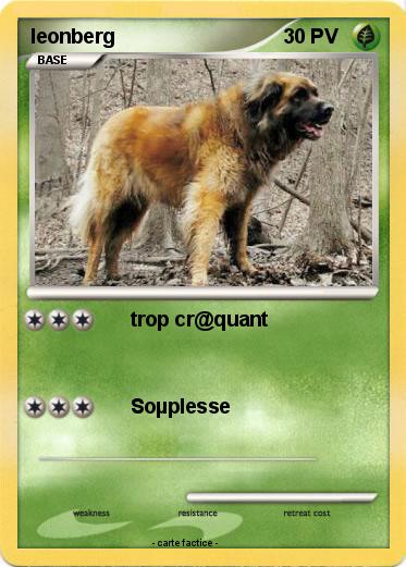 Pokemon leonberg