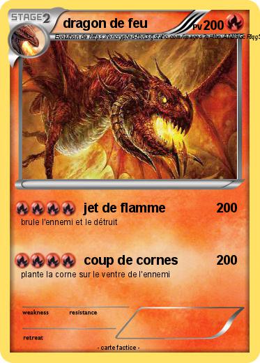 Pokemon dragon de feu
