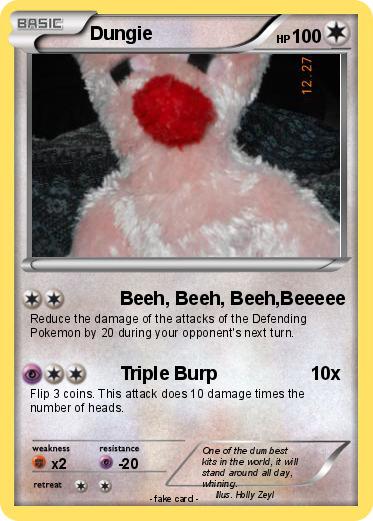 Pokemon Dungie