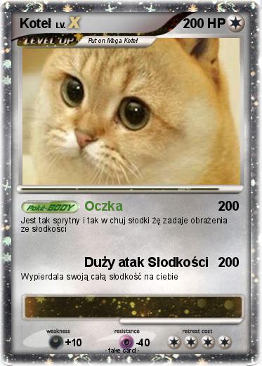Pokemon Koteł