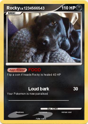 Pokemon Rocky
