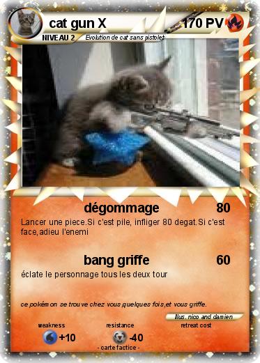 Pokemon cat gun X