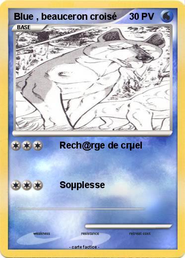 Pokemon Blue , beauceron croisé