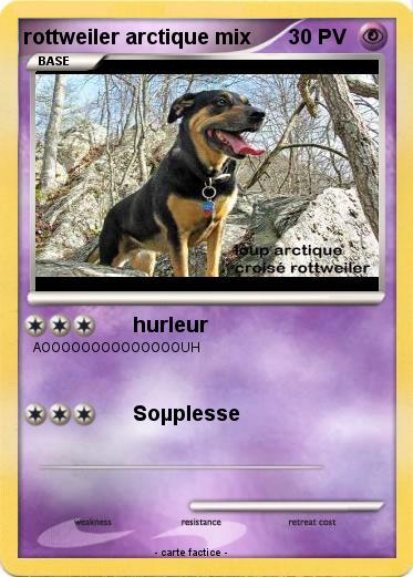 Pokemon rottweiler arctique mix