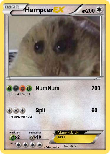 Pokemon Hampter